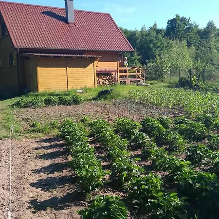 Prázdninový dům Orange Cottage